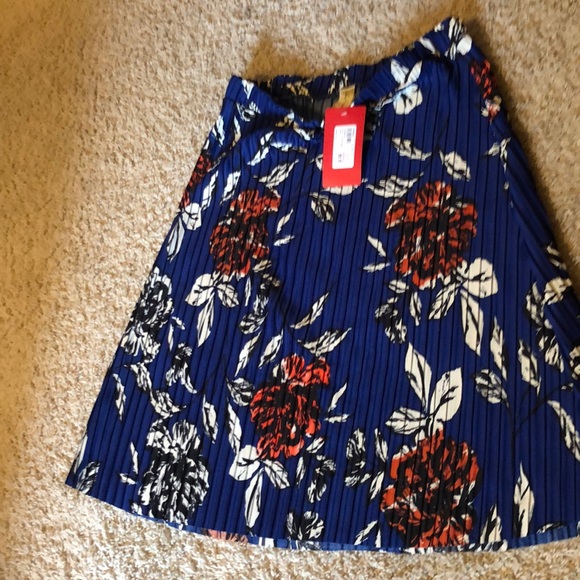Evereve Dresses & Skirts - Pleated floral skirt